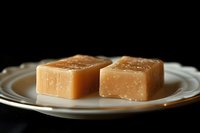 Two pieces of salted caramel fudge candy on white ceramic plate against dark background, soft focus macro shot highlighting rich texture and crystals.
