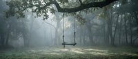 Wooden swing hanging from oak tree branch in misty forest clearing with atmospheric fog and dappled sunlight creating peaceful solitude scene.