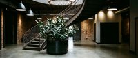 Modern industrial loft interior with spiral staircase, potted plant, and ambient lighting. Suitable for architecture, real estate, and commercial design projects.