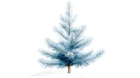 Delicate watercolor pine tree in soft blue tones with detailed branches and needles on white background, suitable for winter holiday designs and stationery.
