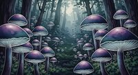 Bioluminescent mushrooms glowing purple and pink in misty forest woodland, creating magical fantasy atmosphere with tall trees and ethereal lighting for digital art, game design, and creative projects.