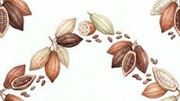 Cacao pods and beans in various stages, isolated on white background, suitable for food packaging, culinary design, chocolate branding, and educational materials.