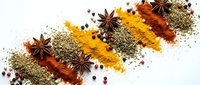 Colorful spices and herbs arranged in diagonal lines on white background with star anise, turmeric, paprika, oregano creating vibrant culinary display.