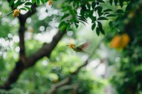 Hummingbird in flight amid lush green foliage and soft bokeh background, wings spread while hovering near tree branches in natural garden setting.
