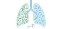 Medical lungs anatomy filled with green leaves symbolizing healthy breathing and natural respiratory wellness on white background.