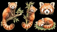 Adorable red panda characters in various poses with bamboo leaves, isolated on transparent background. Perfect for t-shirt designs, stickers, clipart, print-on-demand products, and sublimation projects.