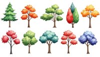 Watercolor tree collection with colorful foliage isolated on white background for nature design projects and seasonal illustrations.
