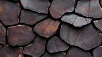 Cracked dark brown earth texture with deep fissures and angular segments creating natural mosaic pattern. Dry clay or mud surface with rough organic shapes.