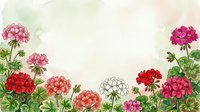 Watercolor geranium flowers in pink, red and white tones with green leaves creating decorative border frame on textured paper background for greeting cards.