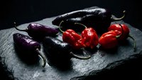 Fresh colorful chili peppers on dark slate stone background. Spicy hot red and purple peppers for cooking and culinary ingredients.