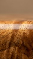 Macro shot of natural wood grain texture with warm golden and brown tones, showing detailed surface patterns and striations. Suitable for backgrounds, design elements, and material references.