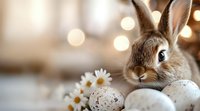 Easter bunny with white eggs and fresh daisies on light bokeh background. Soft focus spring holiday composition with decorative rabbit and flowers.