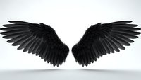 Black angel wings spread wide on white background, isolated for graphic design, fantasy art, gothic themes, spiritual concepts and creative projects.