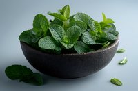 Fresh green mint leaves in black ceramic bowl on gray background, aromatic herbs for cooking, cocktails and tea. Natural food photography for restaurant menu.