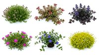 Collection of colorful microgreens and sprouts including purple, green varieties isolated on white background for healthy eating and nutrition concepts.