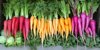 Fresh colorful rainbow carrots arranged in gradient from red to orange to purple, with green tops attached, lying on dark surface against leafy background.