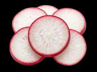 Fresh sliced radish rounds isolated on transparent background, ready for food design, stickers, print on demand, T-shirt graphics, and clipart projects.