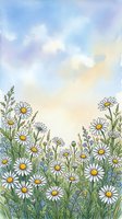 Watercolor daisy meadow with soft blue sky and clouds, white chamomile flowers and green grass, spring nature art for cards and prints.