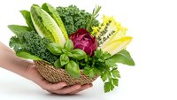 Fresh organic vegetables in wicker basket held by hands isolated on white background. Healthy eating concept with leafy greens and colorful produce.