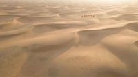 Vast golden sand dunes stretch endlessly across desert landscape with distant caravan silhouette creating dramatic shadows and warm atmospheric lighting.