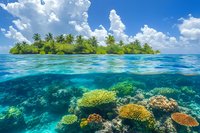 Split view of tropical island with palm trees above water and vibrant coral reef underwater in crystal clear turquoise ocean on sunny day with white clouds.