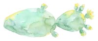 Watercolor painted cacti with yellow flowers isolated on white background, ready for design projects, botanical illustrations, and decorative applications.