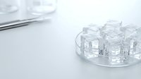 Clear ice cubes arranged on a glass plate with dining utensils on white surface, suitable for beverage, restaurant, and hospitality design projects.