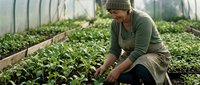 Young Caucasian female farmer in beanie hat tending to green seedlings in greenhouse nursery, sustainable agriculture and organic farming concept.