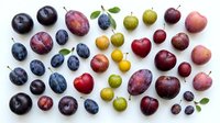 Assorted fresh fruits including blueberries, plums, apples and grapes arranged on white background, suitable for food photography, nutrition content and healthy eating designs.