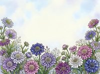 Watercolor wildflower border with purple, pink and blue blooms on soft sky background, copy space for text or greeting card design.