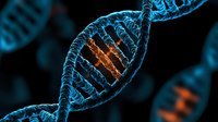 Glowing blue DNA helix strand with orange genetic code segment on black background, scientific molecular biology visualization for medical research and genetics.