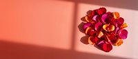 Vibrant red and orange rose petals arranged in a circle on a soft pink background with natural sunlight shadows, romantic flat lay.