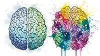 Creative brain concept with colorful watercolor splashes showing left and right hemispheres in artistic style for psychology and neuroscience education.