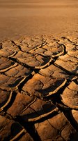 Cracked dry earth surface with deep fissures in golden sunlight showing severe drought conditions and climate change effects on arid landscape ground.