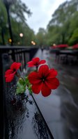 Vibrant red petunias with water drops on rainy day, blooming on wet railing. Moody bokeh city lights and path in blurred background create atmospheric scene.