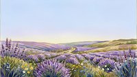 Lavender field landscape with rolling hills at sunset, featuring purple flowering plants and golden meadow grasses for nature and travel designs.