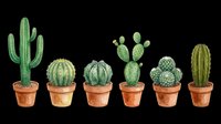 Isolated collection of six green cacti in terracotta pots on transparent background, ready for t-shirt designs, clipart, stickers, print-on-demand products, and sublimation projects.