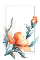 Delicate watercolor orange hibiscus flowers with teal leaves arranged around rectangular frame on white background, soft botanical art composition.