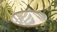 Empty white ceramic plate surrounded by tropical monstera leaves with natural sunlight shadows creating elegant dining presentation for food photography.