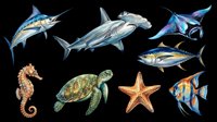 Watercolor ocean animals set isolated on transparent background, ready for stickers, t-shirt design, sublimation, and print on demand clipart use.