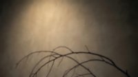 Abstract curved lines creating flowing organic patterns against warm golden background with radial light burst effect for modern design projects.