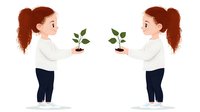 Young Caucasian girl with curly red hair in white shirt and dark pants holds small green plant seedling, shown from two angles, illustration style for environmental education.