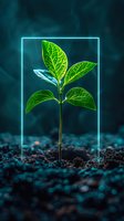 Futuristic young plant seedling with glowing green leaves framed by neon blue light rectangle, growing from dark soil. Perfect for environmental technology or sustainable innovation concepts.