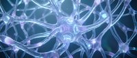 Glowing neural network with interconnected neurons in blue and purple tones, depicting brain activity, neuroscience, and artificial intelligence concepts.
