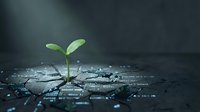 Young green seedling sprouting from circuit board pattern, symbolizing sustainable technology, eco-friendly innovation, and green computing growth.
