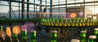 Modern brewery production line with glass bottles moving on conveyor belt during golden hour, suitable for beverage industry marketing and manufacturing content.