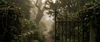 Ornate wrought iron garden gate opens to mysterious foggy path through lush overgrown vegetation creating enchanting entrance to secret garden sanctuary.