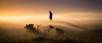 Silhouette of person standing on cliff edge during golden hour sunrise with misty valley landscape below creating dramatic atmospheric mood for inspiration concepts.