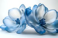 Delicate blue and white magnolia flowers with translucent petals on light background, artistic macro photography showing soft texture and ethereal beauty.