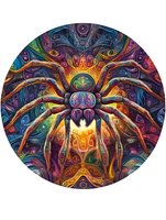 Mystical spider artwork with intricate swirling patterns in vibrant rainbow colors featuring ornate details and psychedelic style design elements on circular background.